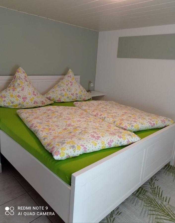Michel'S Ferienwohnung Kurort Gohrisch Buitenkant foto